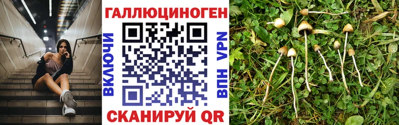 цена   ссылка на мегу ССЫЛКА  Галлюциногенные грибы MAGIC MUSHROOMS  Белореченск 