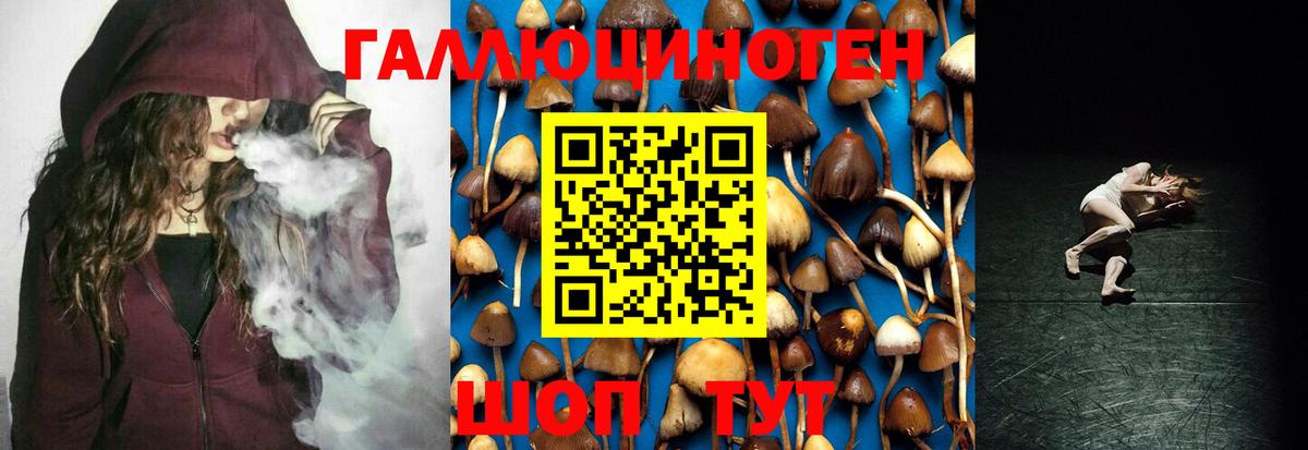 Галлюциногенные грибы мухоморы Белореченск