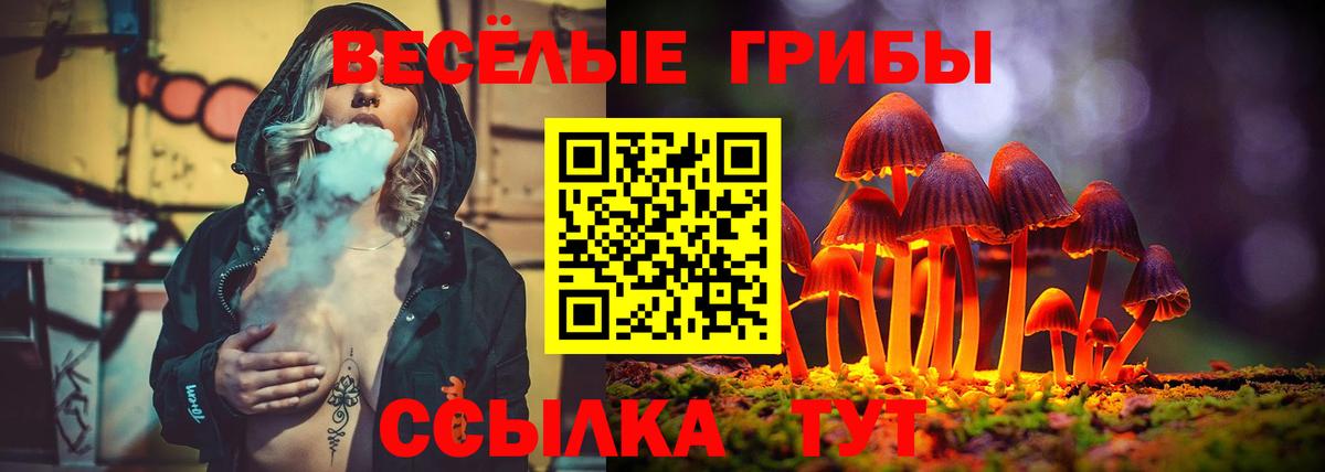 Белореченск  Галлюциногенные грибы мицелий  Вход с VPN  Галлюциногенные грибы прущие грибы 